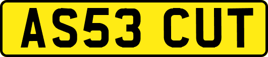 AS53CUT