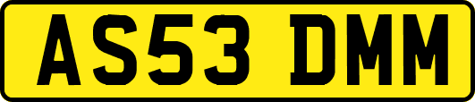 AS53DMM