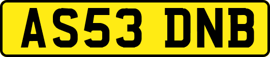 AS53DNB