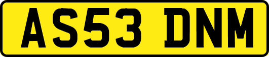 AS53DNM