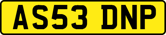 AS53DNP