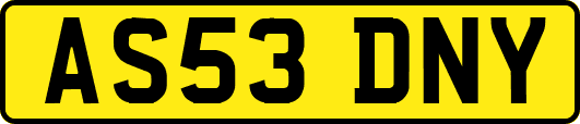 AS53DNY