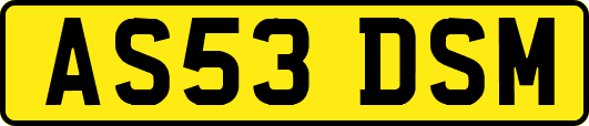 AS53DSM