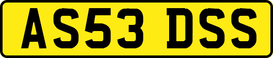 AS53DSS
