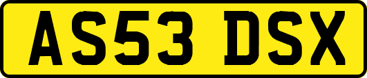 AS53DSX