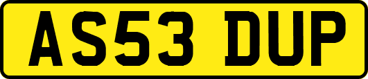AS53DUP