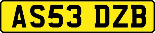 AS53DZB