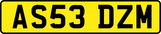 AS53DZM