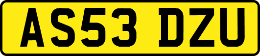 AS53DZU