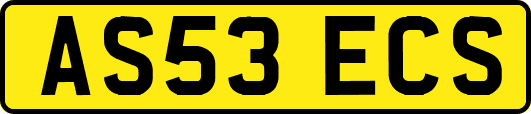 AS53ECS