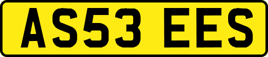 AS53EES