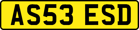 AS53ESD