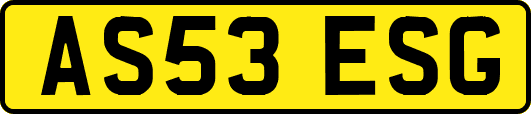 AS53ESG