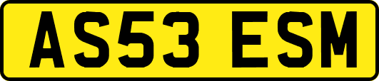 AS53ESM