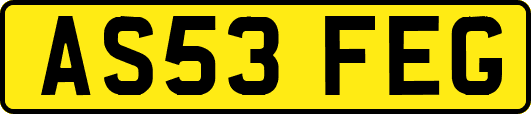 AS53FEG