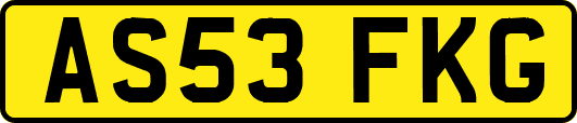AS53FKG