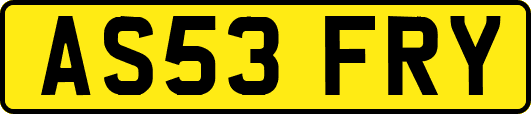 AS53FRY