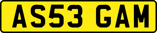 AS53GAM