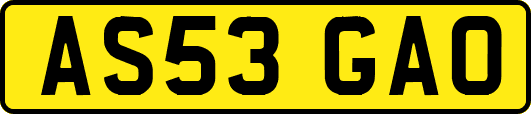 AS53GAO