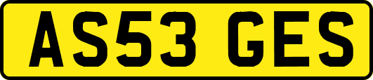 AS53GES