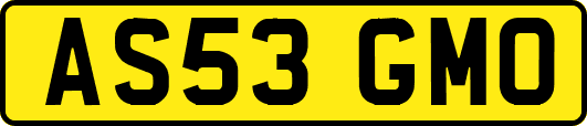 AS53GMO