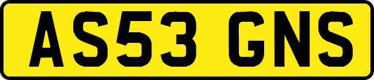 AS53GNS