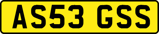AS53GSS