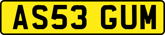 AS53GUM