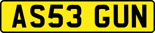 AS53GUN