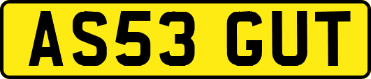 AS53GUT