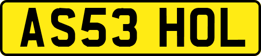 AS53HOL