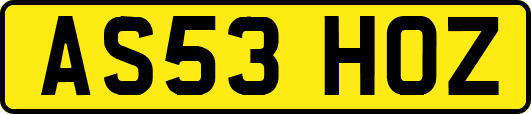 AS53HOZ