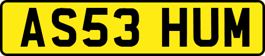 AS53HUM