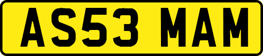 AS53MAM