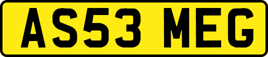AS53MEG