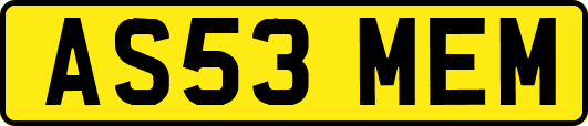 AS53MEM