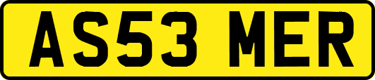 AS53MER