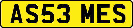 AS53MES