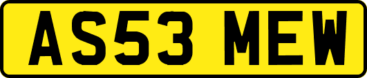 AS53MEW
