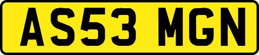 AS53MGN