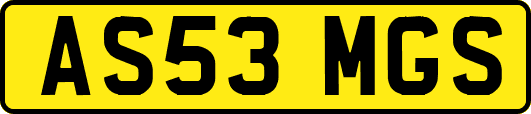 AS53MGS