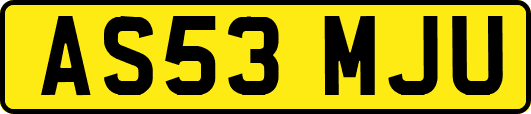 AS53MJU