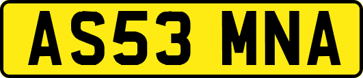AS53MNA