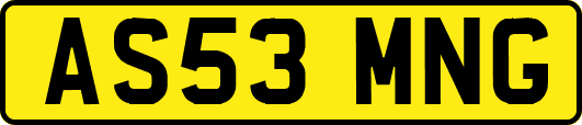 AS53MNG