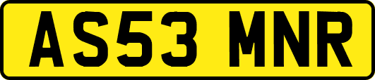 AS53MNR
