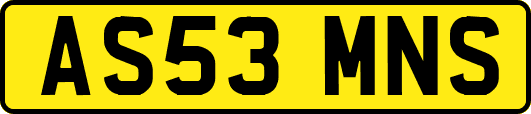 AS53MNS