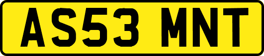 AS53MNT