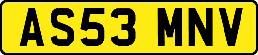 AS53MNV