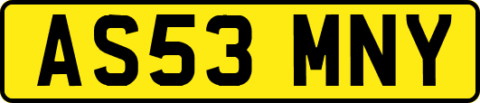 AS53MNY