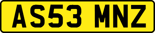 AS53MNZ